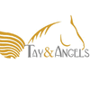 TAY & ANGELS LTD