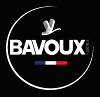 BAVOUX INDUSTRIES (SAS)