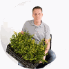 HTTPS://TUINPLANTENSHOP.NL/