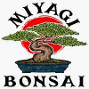 MIYAGI BONSAI