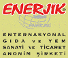 ENERJIK INTERNATIONAL